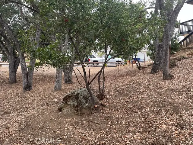 5003 Pretty Doe, Paso Robles, CA 93446 - Image #3