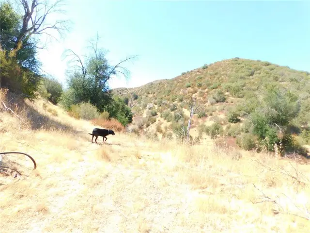 0 Stage Coach Rd Road, Santa Margarita, CA 93453 - #1