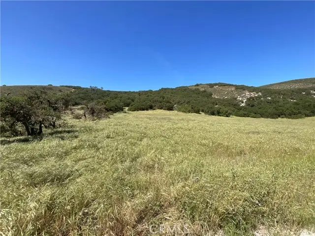 105 Paulsen Road, Lockwood, CA 94326 - #2