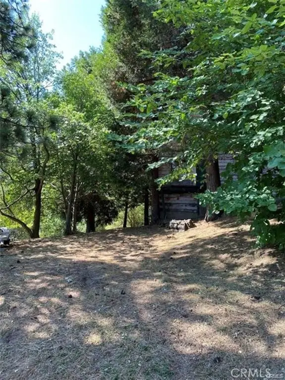 0 Pine Drive, Cedarpines Park, CA 92322