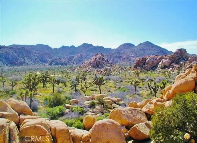 61936 El Reposo Circle, Joshua Tree, CA 92252 - #1