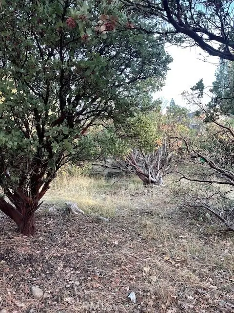 6172 Shad Way, Pollock Pines, CA 95726 - Image #3