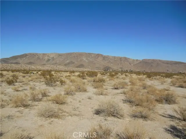 4119 29 Palms Hwy @ Lee Rd, Joshua Tree, CA 92252 - #1