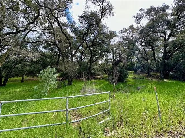 19334 Live Oak Canyon, Trabuco Canyon, CA 92679 - #3