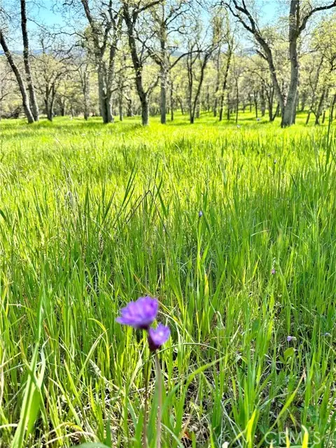 0 Old Wards Ferry Road, Sonora, CA 95370