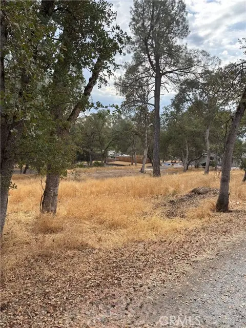 3885 Rosey Way, Placerville, CA 95667 - Image #3