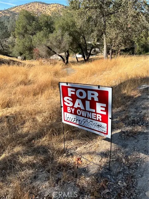 608 Deep Forest Court, Coarsegold, CA 93614 - #1