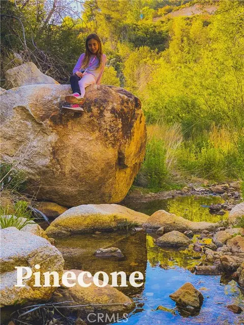 1 Fredalba Road, Running Springs, CA 92382 - Image #3