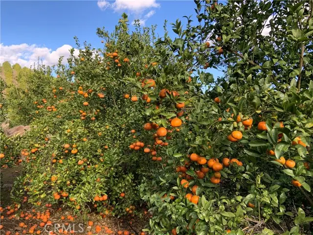 45860 Calle Cuero, Temecula, CA 92590 - Image #2