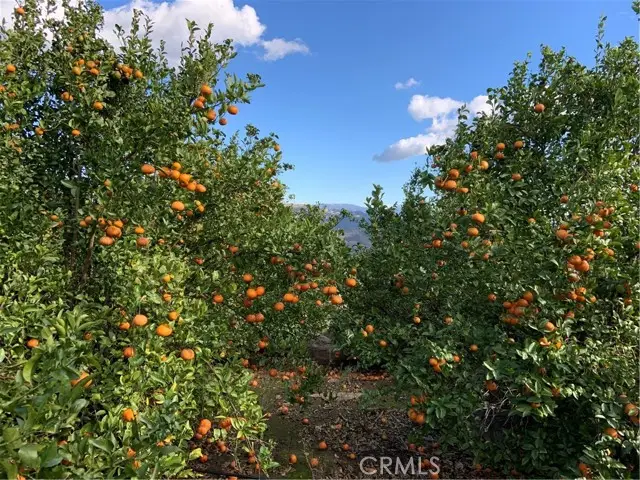 45860 Calle Cuero, Temecula, CA 92590 - Image #3