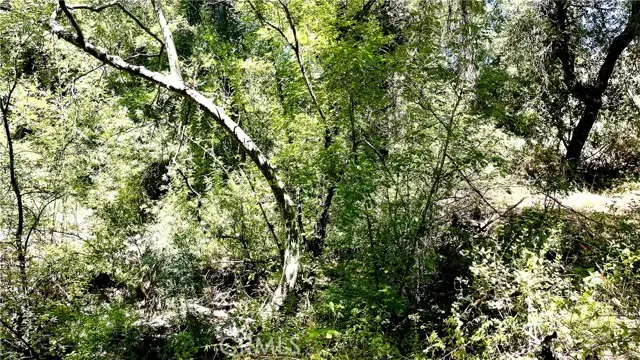 19 Hombre, Murrieta, CA 92562 - #1