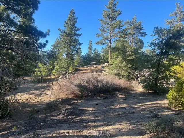 0 Deer Lick Drive, Running Springs, CA 92382 - Image #2