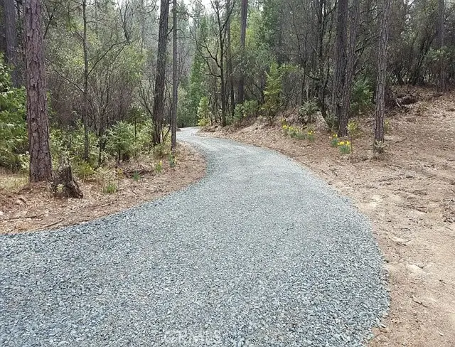 13279 Thoroughbred Loop, Grass Valley, CA 95949 - #1