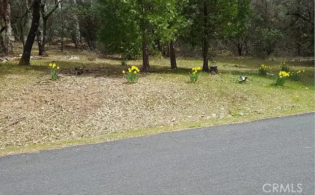 13279 Thoroughbred Loop, Grass Valley, CA 95949 - #2