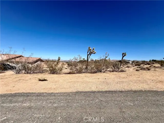 0 Torres Avenue, Joshua Tree, CA 92252 - #1