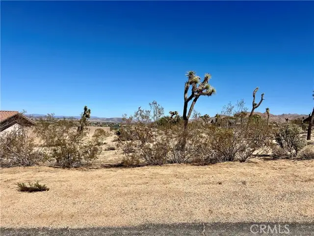 0 Torres Avenue, Joshua Tree, CA 92252 - #2