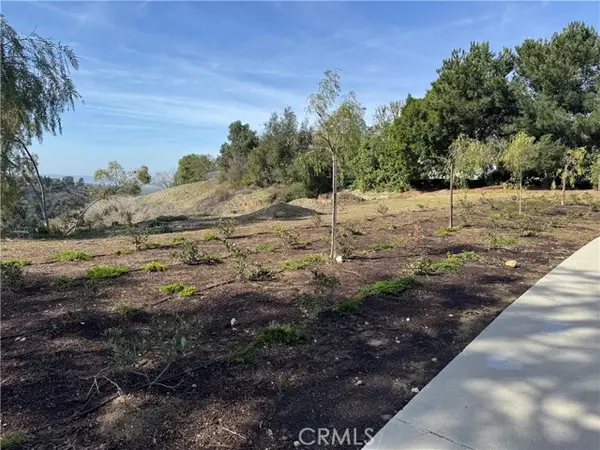 1562 Calle Cristina, San Dimas, CA 91773