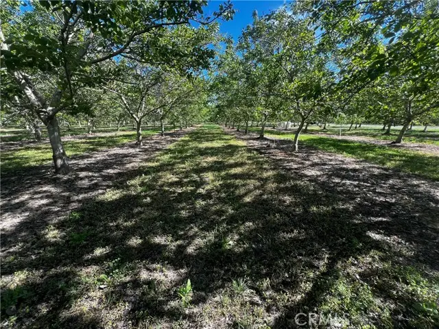 4180 County 203 Road, Hamilton City, CA 95951 - #1