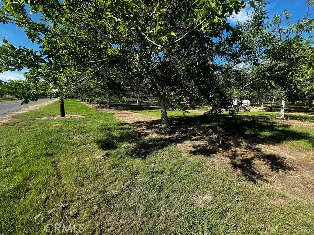 4180 County 203 Road, Hamilton City, CA 95951 - #3