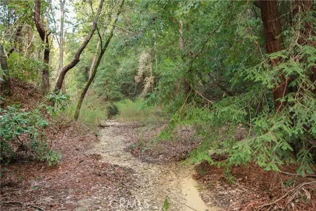 0 Old Mill Road, Felton, CA 95018 - #2