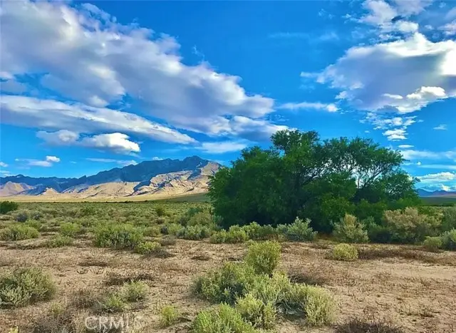 119 Condor Avenue, Shoshone, CA 92384 - #2