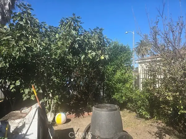 10510 Towne, Los Angeles, CA 90003