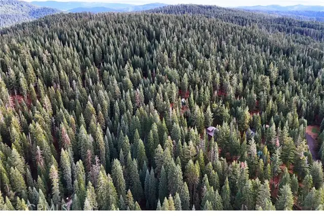 1100 Cleghorn Drive, Quincy, CA 95971 - Image #2