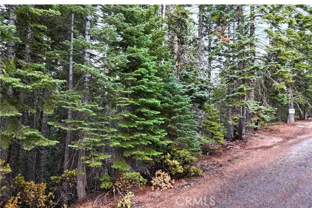 1100 Cleghorn Drive, Quincy, CA 95971 - Image #3