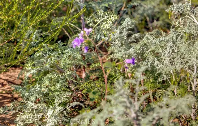 1 Decker Canyon Road, Elsinore Valley, CA 92530 - #3