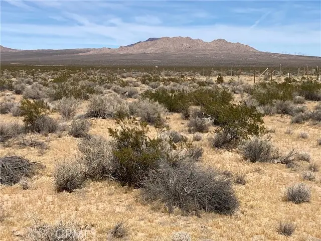 0 Rock Rose Court, Lucerne Valley, CA 92356 - #2
