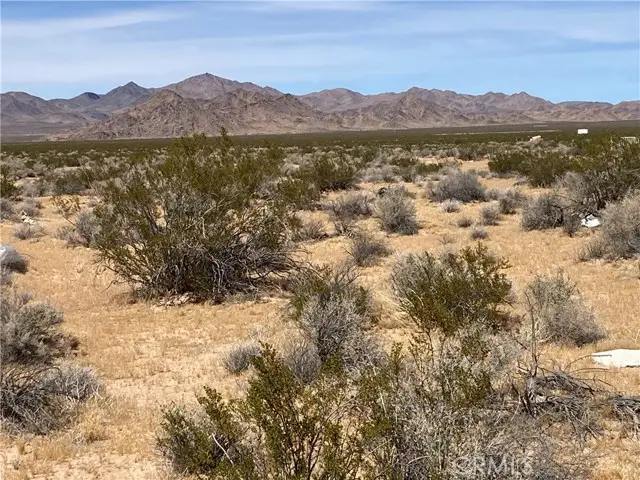 0 Rock Rose Court, Lucerne Valley, CA 92356 - #3
