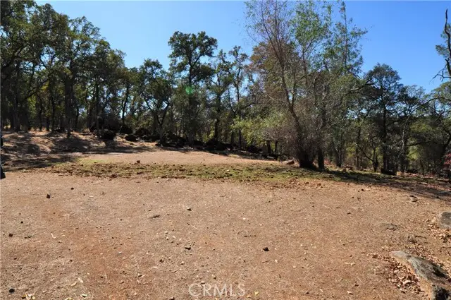 205 Cynthiann Lane, Oroville, CA 95966 - #2