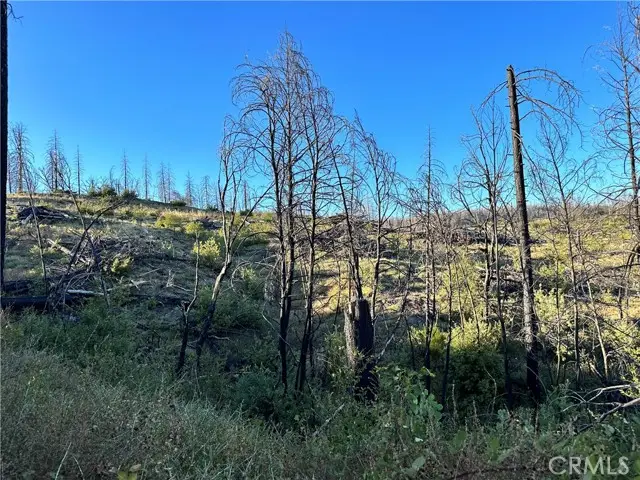 0 Seminole, Berry Creek, CA 95916 - #2