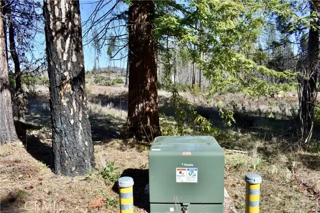 20 Meadow Lane, Berry Creek, CA 95916 - #2