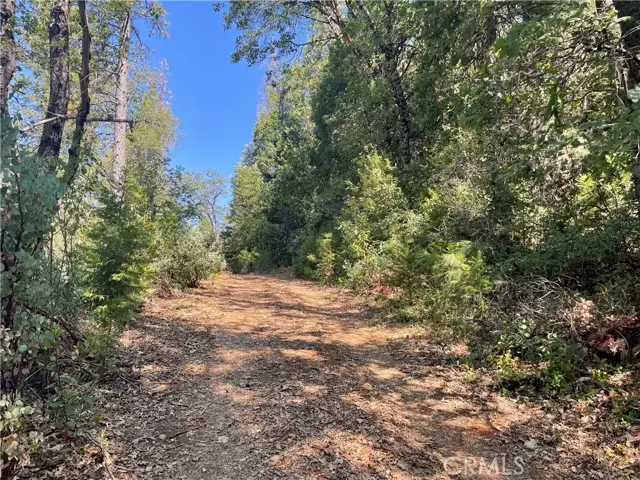 0 Forbestown, Challenge, CA 95925 - Image #2