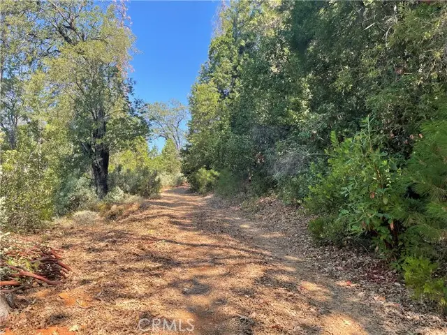 0 Forbestown, Challenge, CA 95925 - Image #3