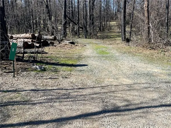 0 Shane Court, Berry Creek, CA 95916