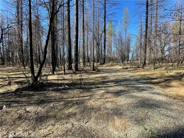 0 Shane Court, Berry Creek, CA 95916 - Image #3