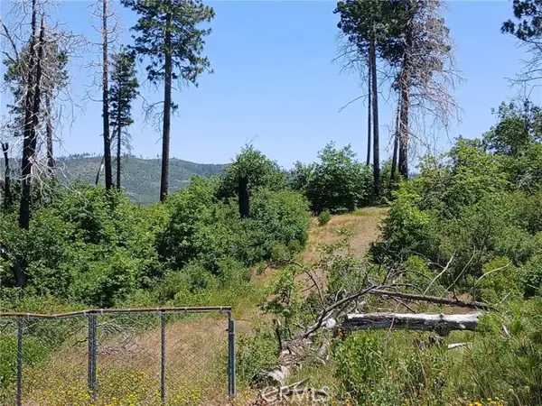 13392 Hog Ranch Road, Oroville, CA 95965