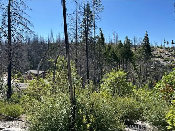 0 Oak Drive, Berry Creek, CA 95916