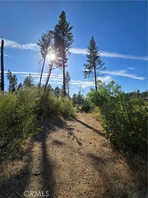 11269 Dawn Terrace, Oroville, CA 95965 - Image #3