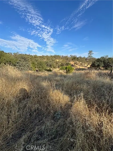 3258 Dry Creek Road, Oroville, CA 95965 - #3