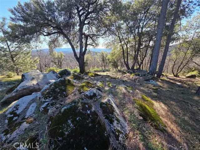 374 Jatko, Berry Creek, CA 95916 - #2