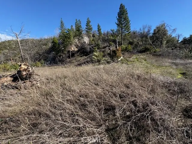 8870 Oro Quincy, Berry Creek, CA 95916 - Image #2