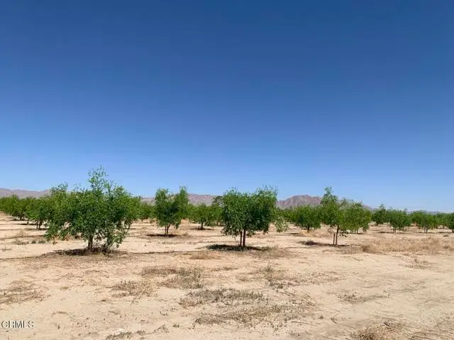 12500 Locust Avenue, Lucerne Valley, CA 92356 - Image #2