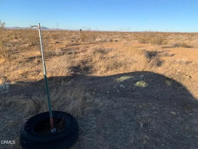 170 St Avenue, Palmdale, CA 93591 - Image #3