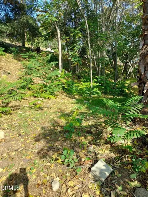 200 S Avenue 63, Los Angeles, CA 90042 - #3