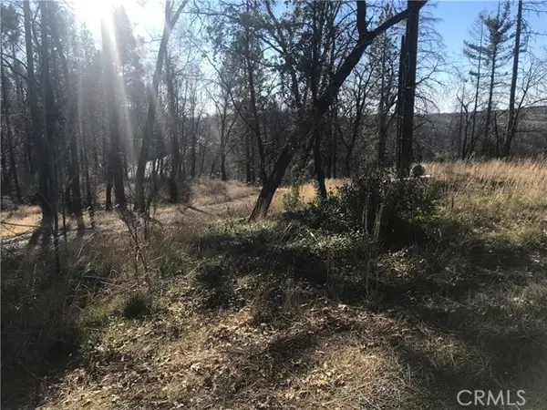 0 Four M Court, Berry Creek, CA 95916