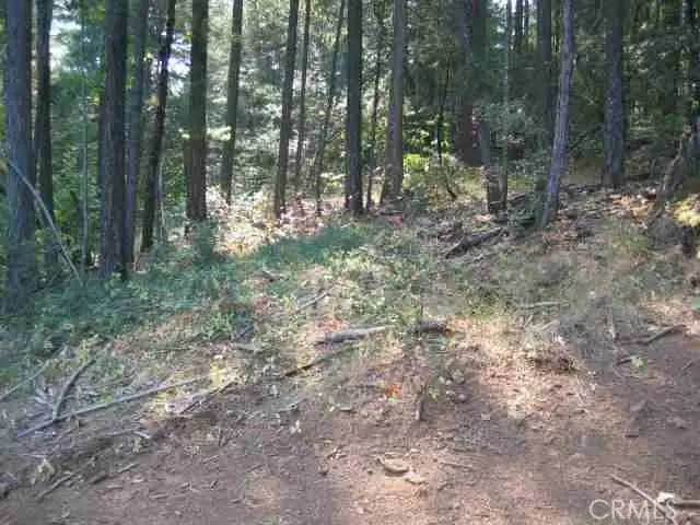 0 He Le Ve Road, Berry Creek, CA 95916 - Image #1