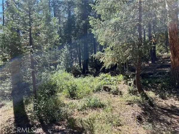 0 Coutelenc, Magalia, CA 95954